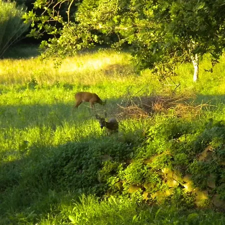Bosco Fiorito Alloggio per agriturismo