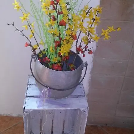 Agriturismo Bosco Fiorito Фермерский дом