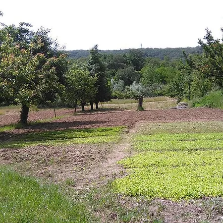 Alloggio per agriturismo Bosco Fiorito Múggia