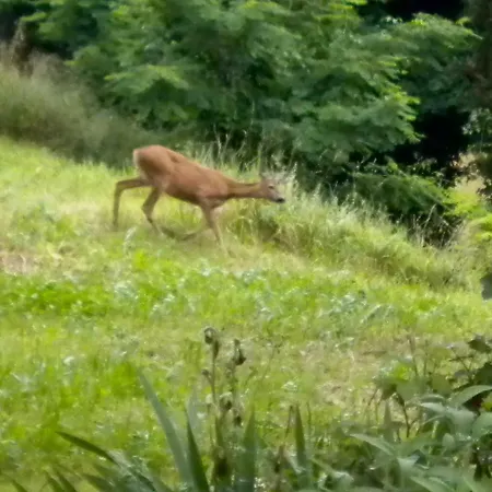 Séjour à la ferme Bosco Fiorito *