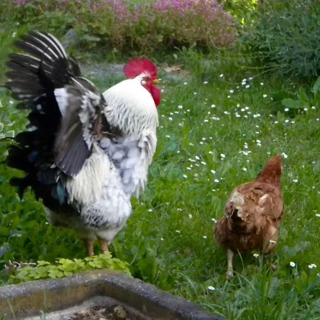 Agriturismo Bosco Fiorito * Муджа